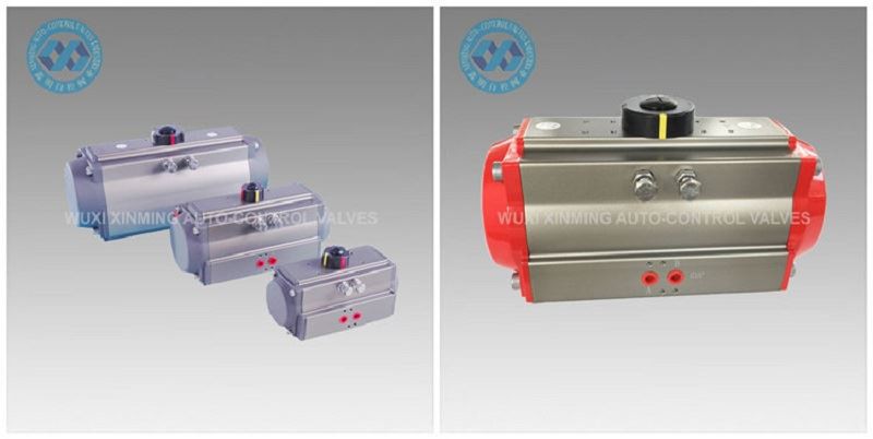 Pneumatic Actuator Pneumatic Actuator