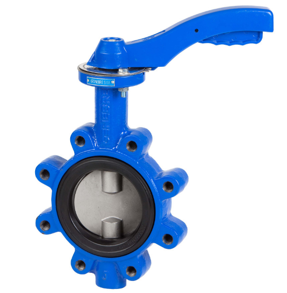 lug butterfly valve