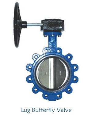 Lug vs Wafer Butterfly Valve: What’s the Difference?