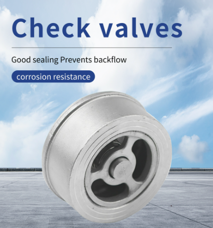 Check Valves and Plumbing Fittings