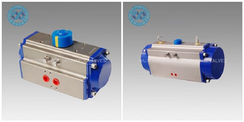 Double Acting Pneumatic Rotary Actuator