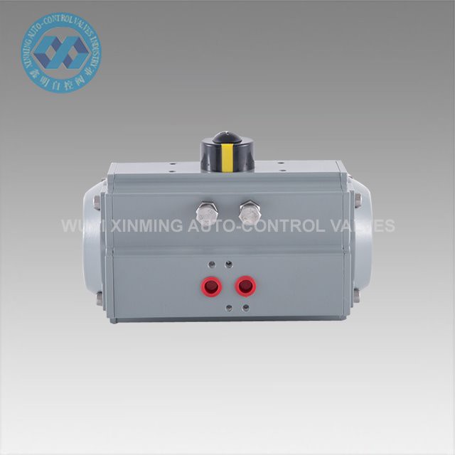 Pneumatic actuator